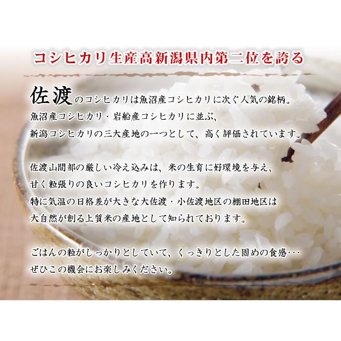 新米 令和5年産 お米 10kg 佐渡産コシヒカリ 5kg×2袋 送料無料 （北海道、九州、沖縄除く）