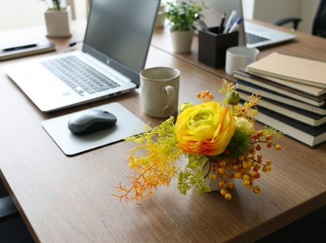 沐光之舞黃陸蓮香氛花禮/入厝禮/開幕/喬遷/送禮/植栽