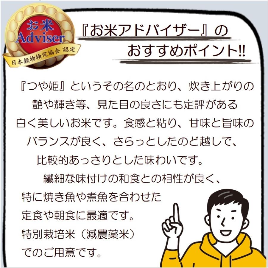 特別栽培米 10kg つや姫 山形県産 5kg×2 減農薬米