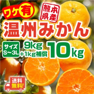 みかん 訳あり 10kg 熊本産 10kg 9kg＋1kg補償付き S-3L サイズ不選別 送料無料 家庭用 温州みかん 常温便