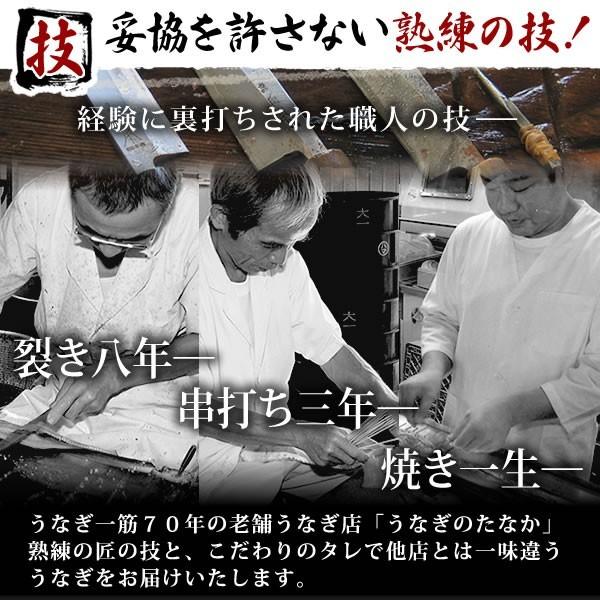 お歳暮 ギフト 2023 うなぎ 国産 プレゼント 土用の丑の日 蒲焼き 食べ物 送料無料 誕生日 ウナギ 鰻 2本 お年賀 御歳暮 御年賀 簡易箱 Gset03 1〜2人用 AA