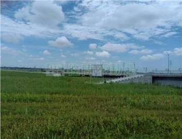 新市臨30米連樹谷大道一般農地｜台南市新市區大洲