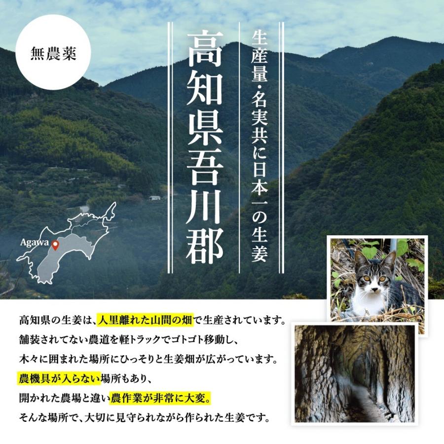 無農薬 生姜 1kg 高知県産 国産 送料無料 生姜 しょうが ショウガ 根生姜 佃煮 薬味 きざみ 生姜 生姜焼き 唐揚げ