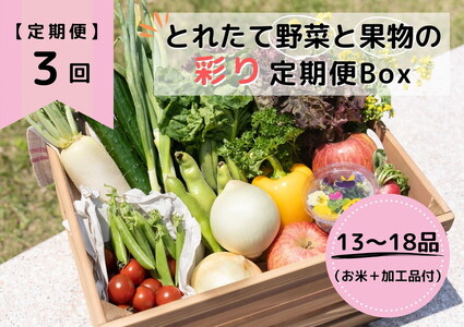 とれたて野菜と果物の彩り定期便Box 13～18品目の豪華セット ※着日指定不可 ※沖縄・離島への配送不可 ※2024年2月中旬～2024年5月中旬頃に順次発送予定