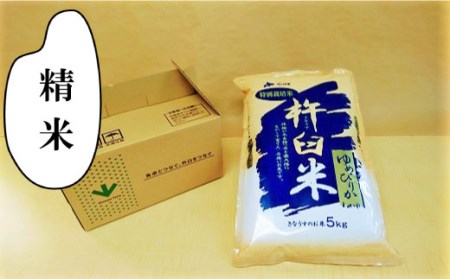 特別栽培「きなうす米」ゆめぴりか5kg×12回