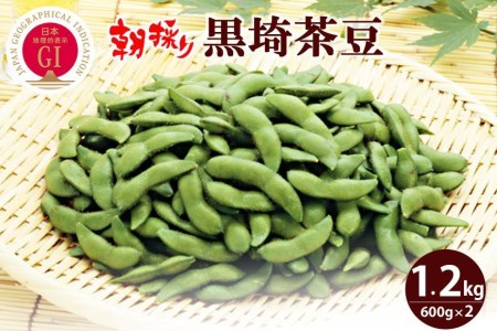  ＧＩ登録 くろさき茶豆1.2kg  2024年8月発送