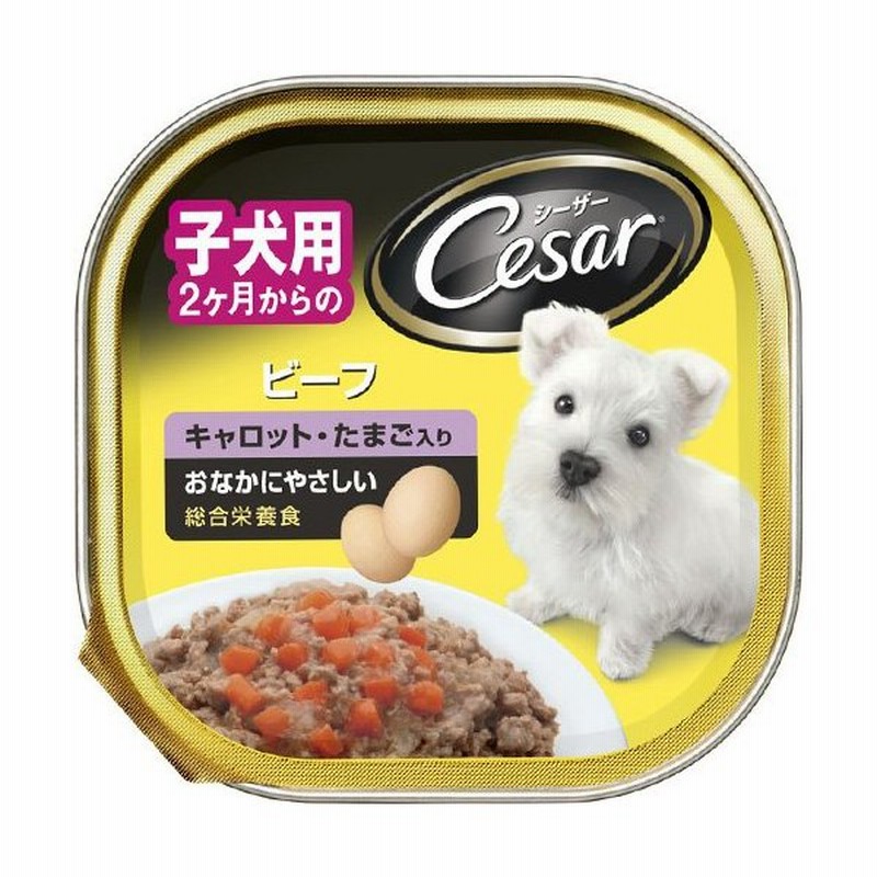 マースジャパンリミテッド マースジャパン Ce50n シーザー子犬用 ビーフ 100g ドッグフード 子犬用 通販 Lineポイント最大1 0 Get Lineショッピング