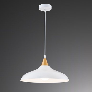 E27金屬單吊燈 B209-090074