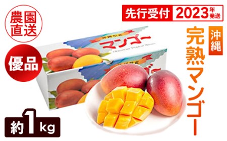 ヤマト農園　完熟マンゴー約1kg（優品）