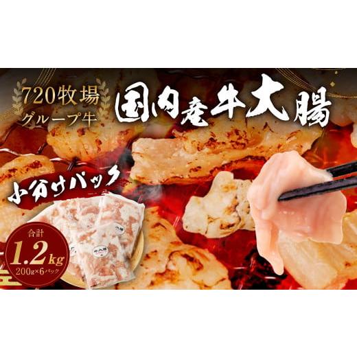 ふるさと納税 宮崎県 えびの市 720牧場グループ牛 シマチョウ 大腸 200g×6パック(計1.2kg) 牛肉 冷凍