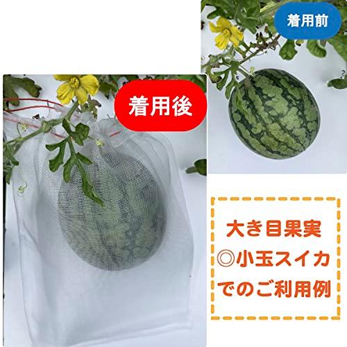 ASPALAND 果物 果実 防虫 巾着 袋 保護 ネット 植物 フルーツ 鳥よけ 網 メッシュ 光 通過 農業 園芸 (35cm×25cm 50 枚セット)