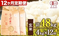 令和5年産 小さな竹美人 玄米 4kg(2kg×2袋) 株式会社コモリファーム《お申込み月の翌月から出荷開始》