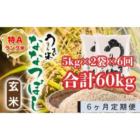 ふるさと納税 うりゅう米「ななつぼし（玄米）」5kg×2袋 定期便！毎月1回・計6回お届け 北海道雨竜町