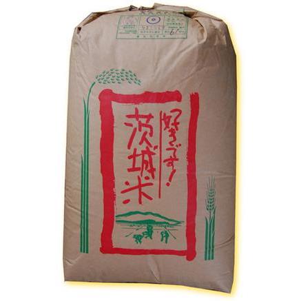 新米 5年産 茨城県産 ミルキークイーン１等 玄米 10kg