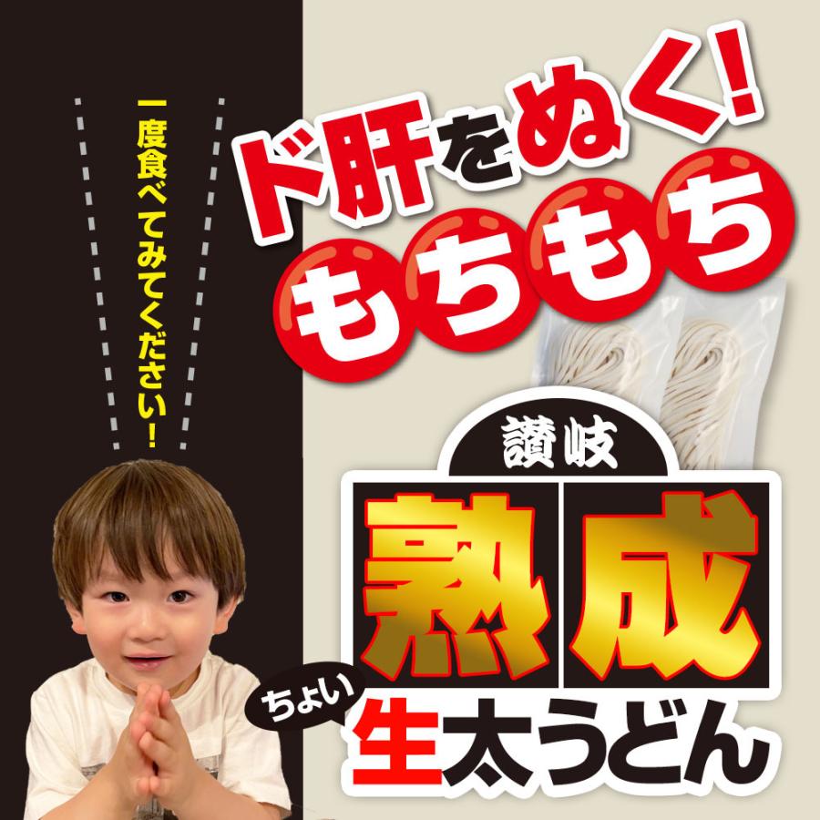 熟成 ちょい 生太 讃岐うどん ドーンと 9食 便利な個包装 300g×3袋 送料無料 最安値 挑戦 得トクセール 特産品 