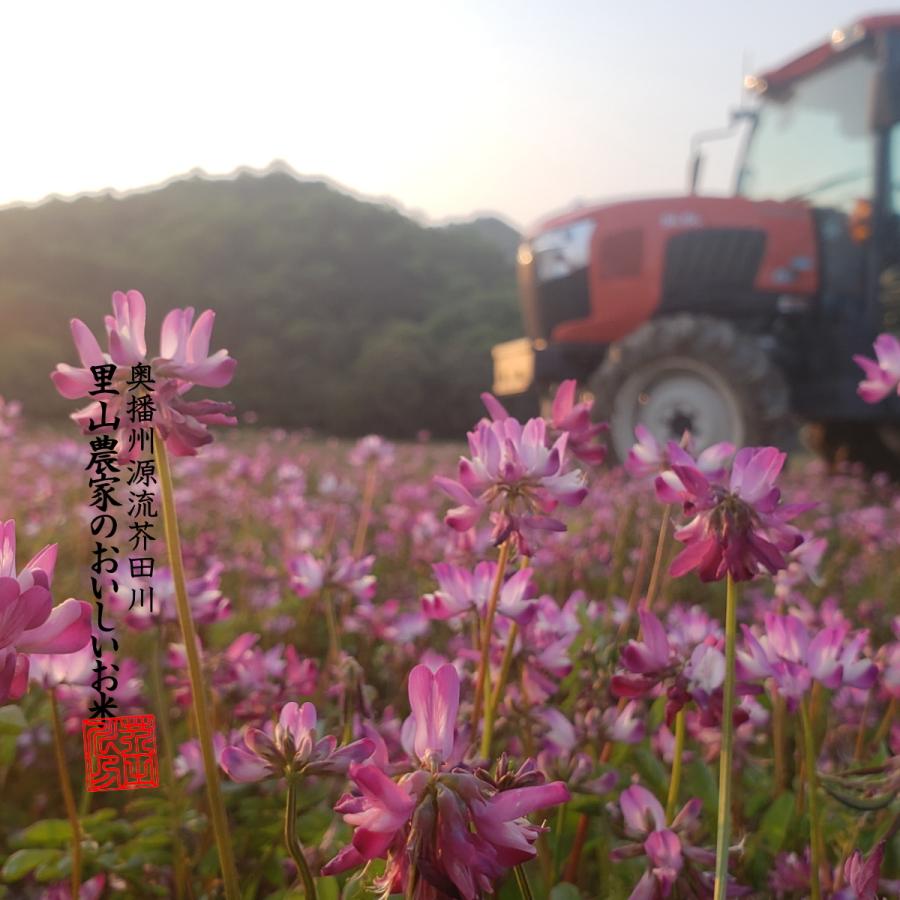 新米 お米 30kg 送料無料 玄米にてお届け 清流ひのひかり芥田川 令和5年産 生産農家 産地直送便 玄米食 石抜き済み お米ギフト 贈答