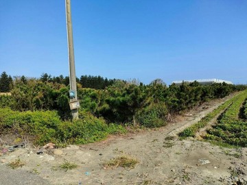 雲林東勢鄉118縣旁買農地送日本黑松｜雲林縣東勢鄉和平段