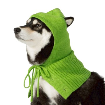 SPUTNIK針織寵物帽 綠色 - 時尚可愛保暖  S  1個