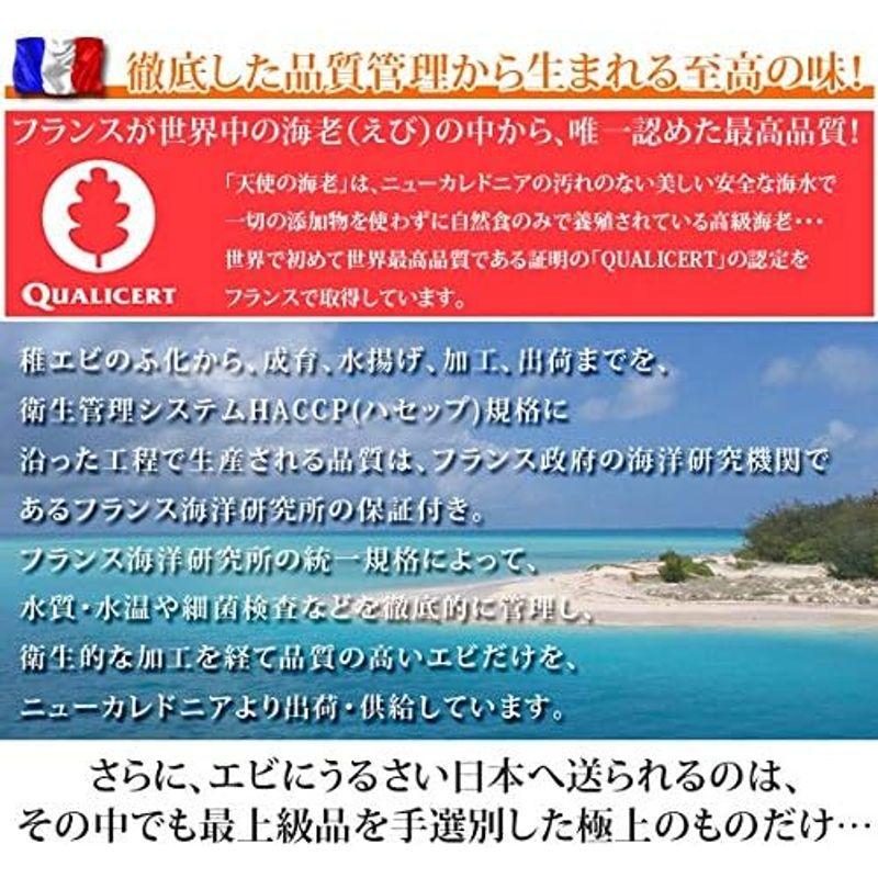 天使の海老 20 30サイズ 1ｋｇ 生食用・冷凍