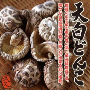 天白どんこ椎茸50ｇ最高級 原木椎茸 九州産 花どんこ しいたけ