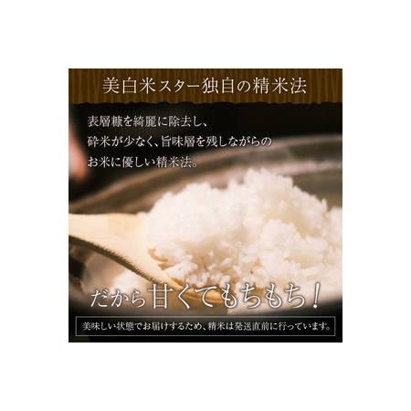 ふるさと納税 令和5年産　丹後こしひかり1等米3kg　美白精米 京都府京丹後市