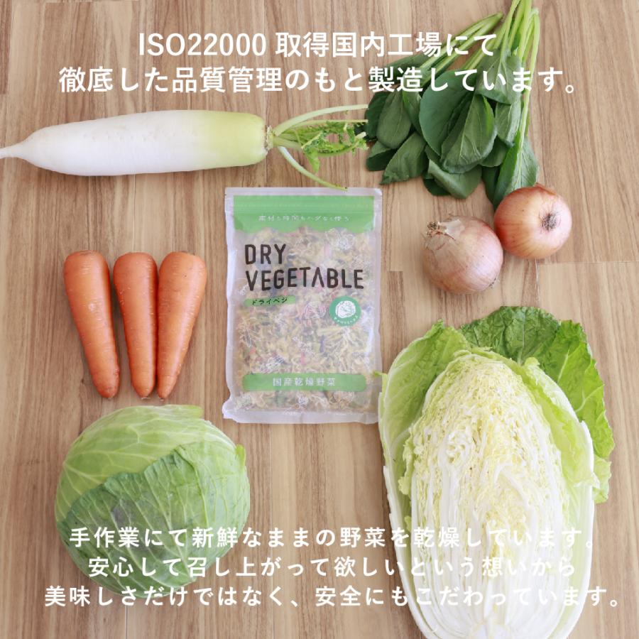 乾燥野菜 国産 DRYVEGETABLE 140ｇドライベジ ミックス 野菜 一人暮らし 常備菜 時短 味噌汁の具 キャベツ 白菜 小松菜 人参 大根 玉ねぎ