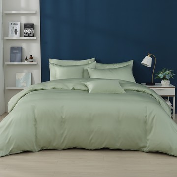 Ishur 伊舒爾 60支素色天絲寢具4件組  床包 Queen Size + 兩用被 King Size  淺葉綠  床包 + 被套 + 枕套 2個