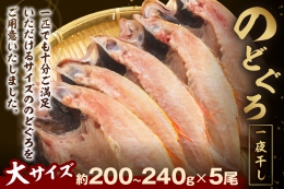 665.大秀商店の「のどぐろ（大）」（5尾入） 魚 干物 干もの 乾物 一夜干し のどぐろ セット