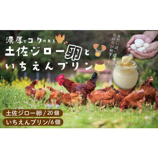 ふるさと納税 高知県 四万十市 R5-1012．濃厚でコクのある味わい！土佐ジローの自然卵20個と土佐ジロー卵を贅沢に使った無添加いちえんプリン6個セット