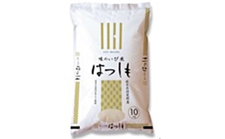 岐阜県揖斐郡産 味のいび米 はつしも 精米30kg