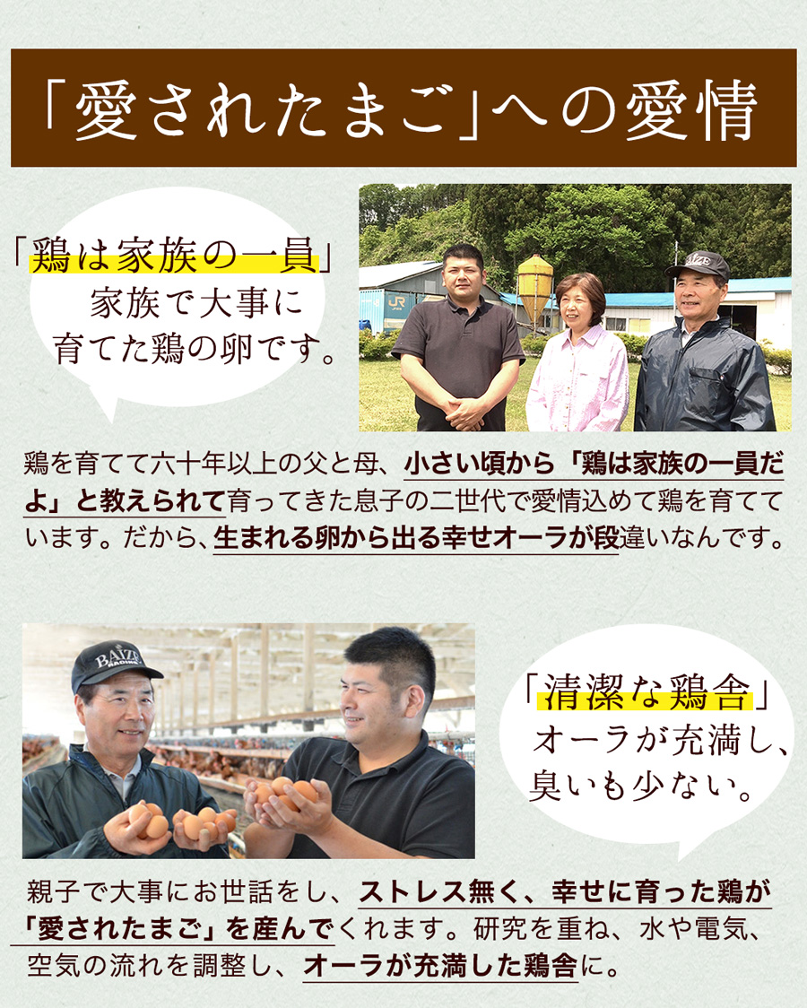 卵 にんにく卵 〔生卵75個入(生卵60個 破損保証15個)〕 玉子 たまご 高級 卵かけご飯 送別会 卒業 入学