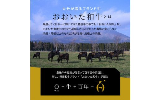 3Dフリーザーで急速冷凍。美味しさそのまま！おおいた和牛焼肉セット　約340ｇ（秘伝のタレ３種類付き）