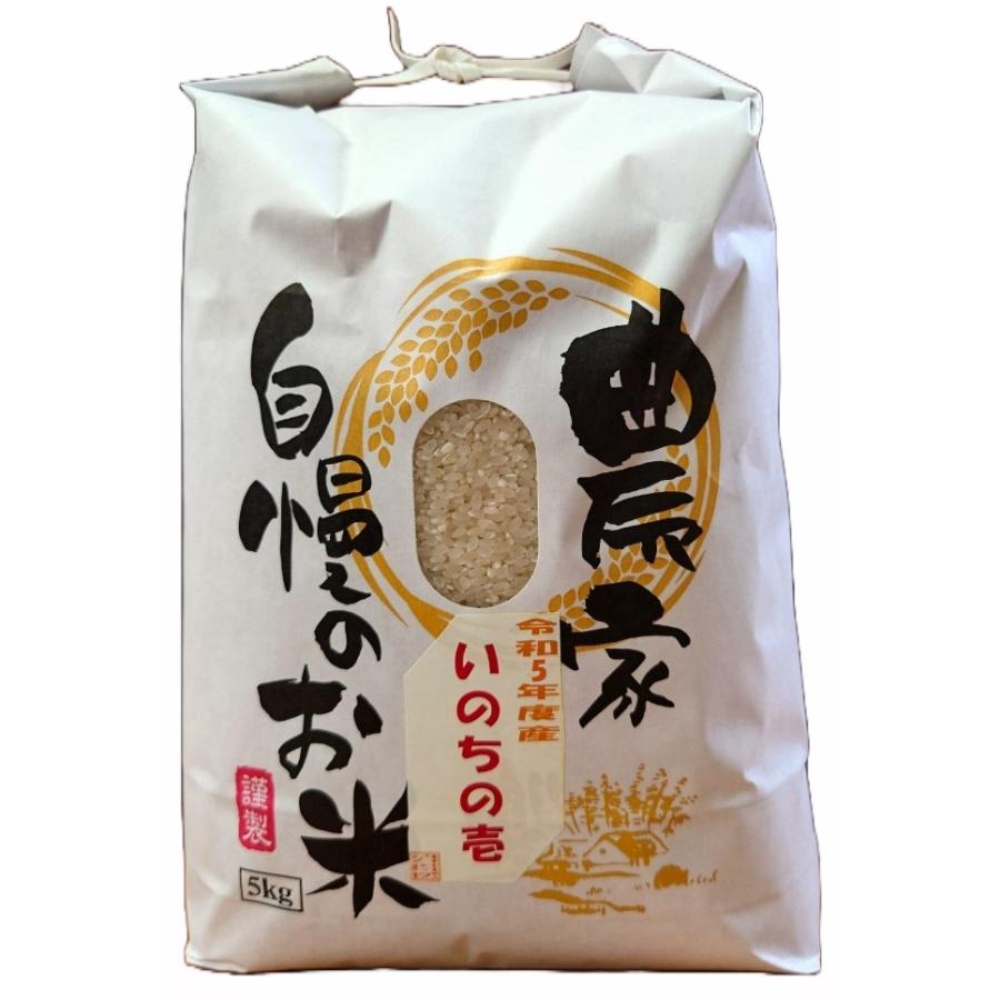お米 5kg 玄米 送料無料 新潟県糸魚川産 新米 令和5年度産 3回定期便