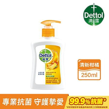 Dettol滴露潔手液/清新柑橘/250ml/1入