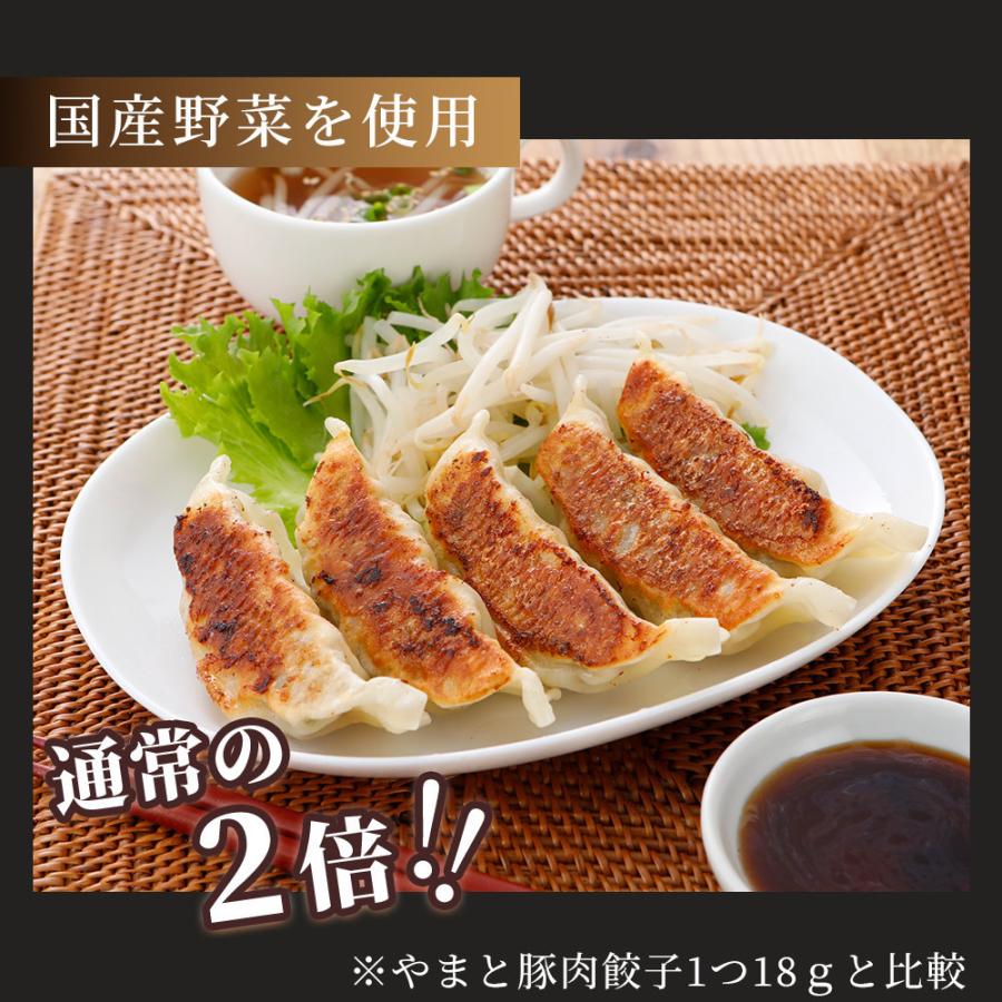 やまと豚 大きな肉餃子 45個 |[冷凍] 送料無料 お歳暮 御歳暮 2023 肉 食品 取り寄せ 冷凍餃子 餃子 お取り寄せグルメ ギフト 食べ物 中華 おつまみ 惣菜