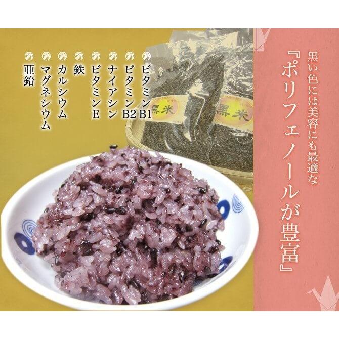 岡山県産 黒米 500g 新米 令和4年産 時国農園より産地直送