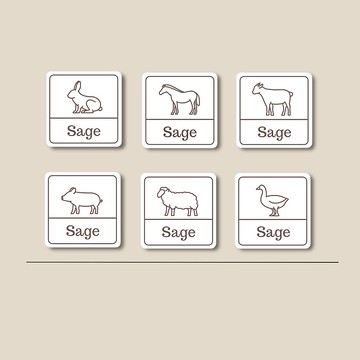 姓名貼紙 耐高溫 防水姓名貼 方形 農場動物系