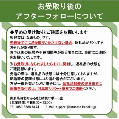 ふるさと納税 河北町 かほくイタリア野菜 旬のおまかせBOX(8〜10種類)