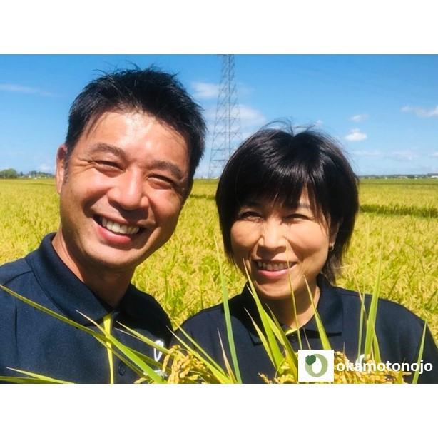 　ひゃくまん穀　お米　10kg　玄米精白米選べる　一等米　石川県産　生産農家　農家直送米　送料込み