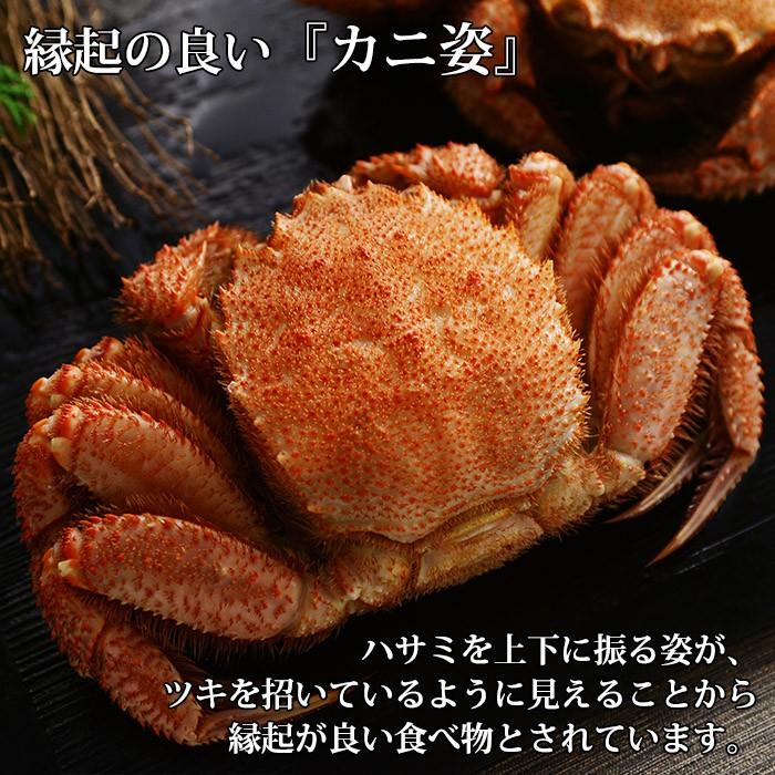 御歳暮 北海道 毛蟹 500g カニ ギフト かに 姿 蟹 ボイル 毛ガニ 海鮮 お土産 海産物