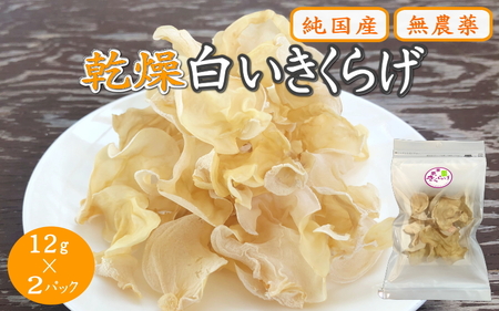 乾燥白いきくらげ 12ｇ×2パック   田辺市 きくらげ 乾燥 天然 無添加 栄養豊富 中華料理 サラダ