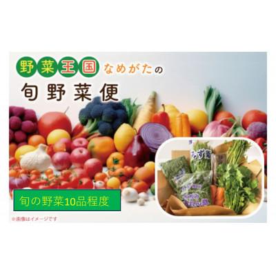 ふるさと納税 行方市 野菜王国なめがたの旬野菜便　CU-127