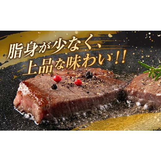 ふるさと納税 宮崎県 日南市 ≪数量限定≫宮崎牛ステーキ食べ比べセット(合計500g)　肉　牛　牛肉　国産 E42-23