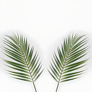 Blooming&Me 仿真散尾葵  2入  綠色