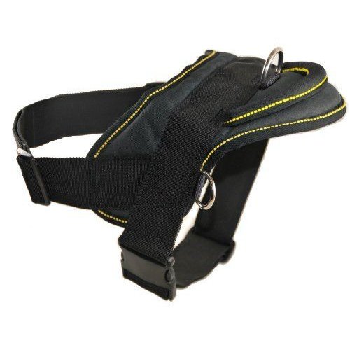 Dt best sale dog harness