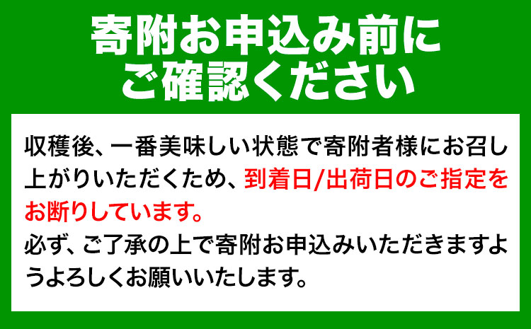 はっさく 八朔 4kg＋1kg  計約5kg サンファーム《1月上旬-3月中旬頃より出荷予定》和歌山県 紀の川市 ご家庭用---wsk_saf4_a13_23_5000_5kg---