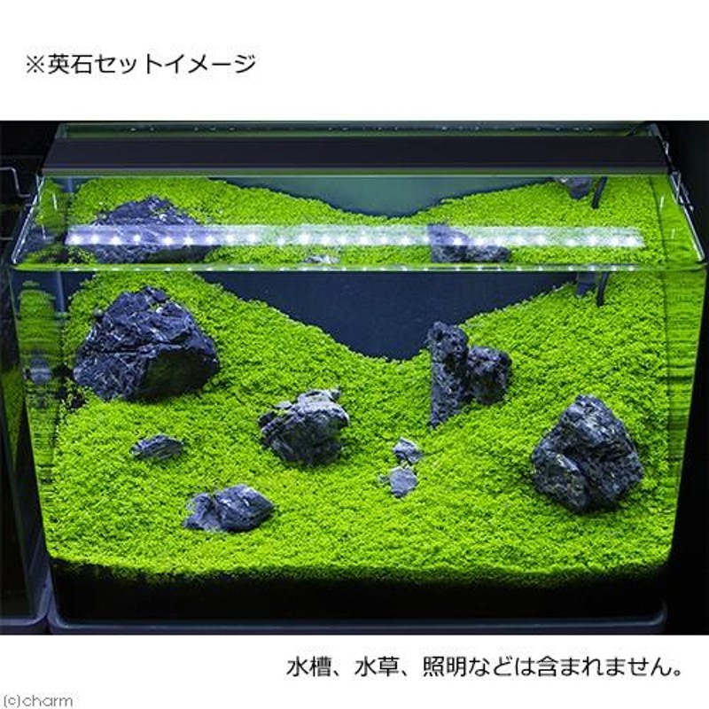 形状お任せ 英石 サイズミックス 5kg 45cm水槽向け アクアリウム レイアウト素材 | LINEブランドカタログ