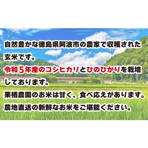 ふるさと納税 徳島県 阿波市  こしひかり ひのひかり 新米 玄米 5kg ブランド米 糖質制限 農家直送 令和5年産