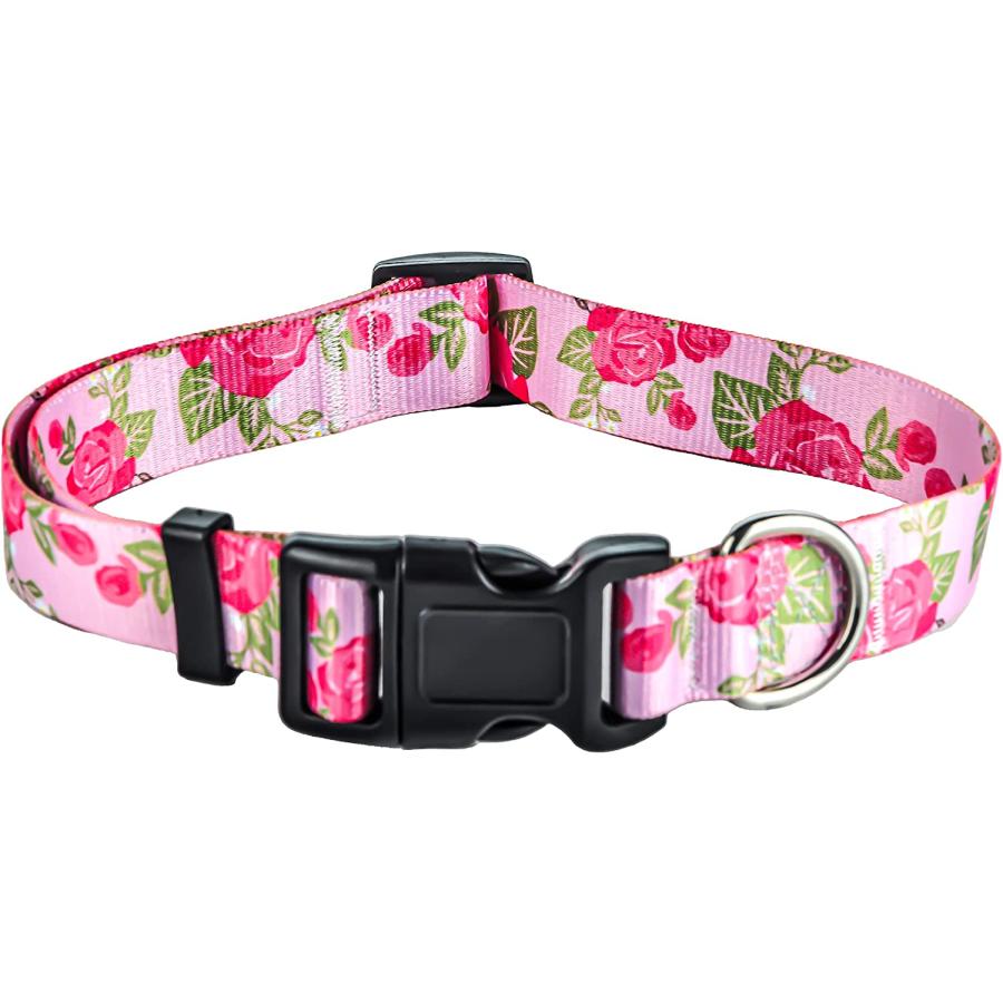 Boy and girl matching best sale dog collars