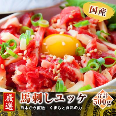 ふるさと納税 宇城市 熊本直送　国産ブロック肉馬刺し赤身500g ユッケ500gセット(宇城市)